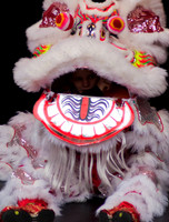 20120129_Chinese New Year_0029