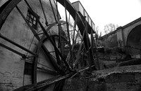 IMG_5461