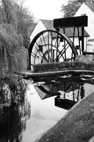 IMG_5504B