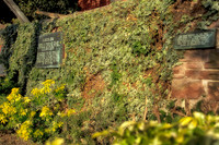 secret garden
