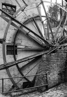 IMG_5457
