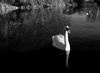 _MG_571b8
