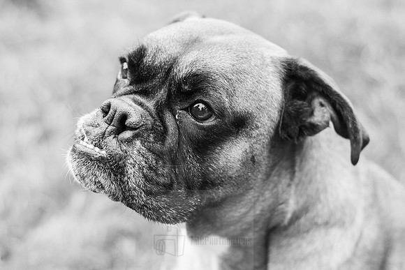 _MG_9065