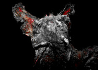 Devil Sculpture