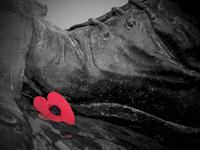 Trampled but not forgotten