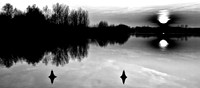_ebMG_5736